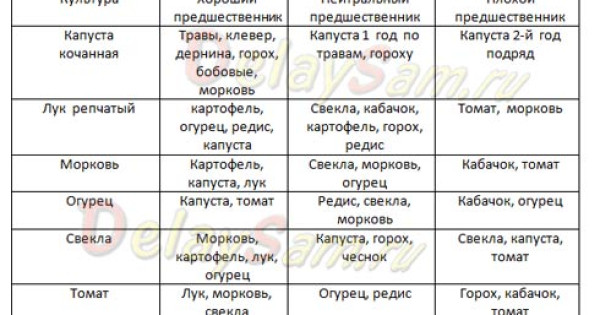 Севооборот  и  чередование овощных культур на садово-дачном  участке. Как увеличить урожайность.