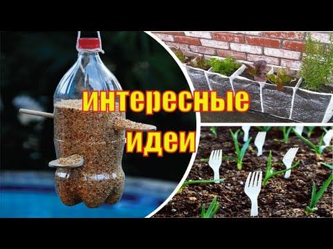 КАК СДЕЛАТЬ Интересные дизайнерские решения
