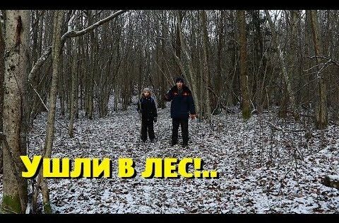 Надоели бесконечные дела — ушли в лес!..