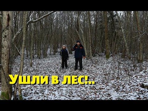 Надоели бесконечные дела — ушли в лес!..