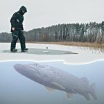 ПОКЛЕВКИ ЩУКИ НА ОКУНЯ! Рыбалка на жерлицы 2019-2020 Первый лед