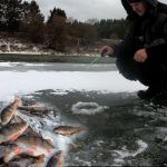 Рыбалка на безмотылку и балду.Первый лёд на Оке.2019-20