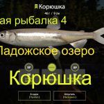 Русская рыбалка 4 — Ладожское озеро — Корюшка и колюшка трехиглая