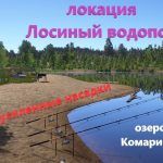 Русская рыбалка 4 — озеро Комариное — Карась на двойные насадкибутерброды