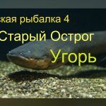 Русская рыбалка 4 — озеро Старый Острог — Угорь