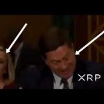 SEC Chair Lowers His Head Like A Bull And Ripple Xpring / XRP