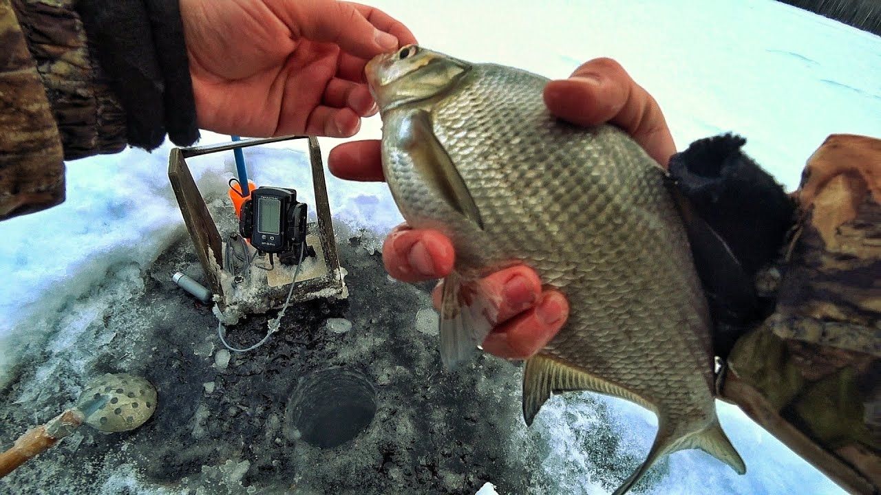 поплавки для рыбалки на леща