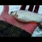 #Рыболовъ152# Полный фильм о совместной рыбалки.