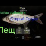 Русская рыбалка 4 — озеро Старый Острог — Лещ