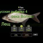 Русская рыбалка 4 — река Волхов — Лещ