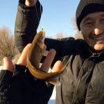 Зимняя рыбалка на горного османа