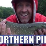 #fishing #рыбалка River Walleye Fishing and Redhorse in the Wisconsin Dells