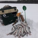 Зимняя рыбалка 2020!ловля рыбs на черта,муху и … !Глухозимье………
