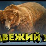 84-108 22 клипса  сазан прет! точку проверил!))Русская рыбалка 4 топ игра