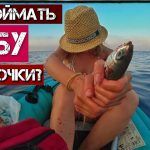 КАК поймать рыбу без удочки ИЛИ Морская рыбалка с лодки
