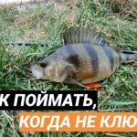 Микроджиг на реке. Техника ловли пассивного окуня. Soare S706UL-S