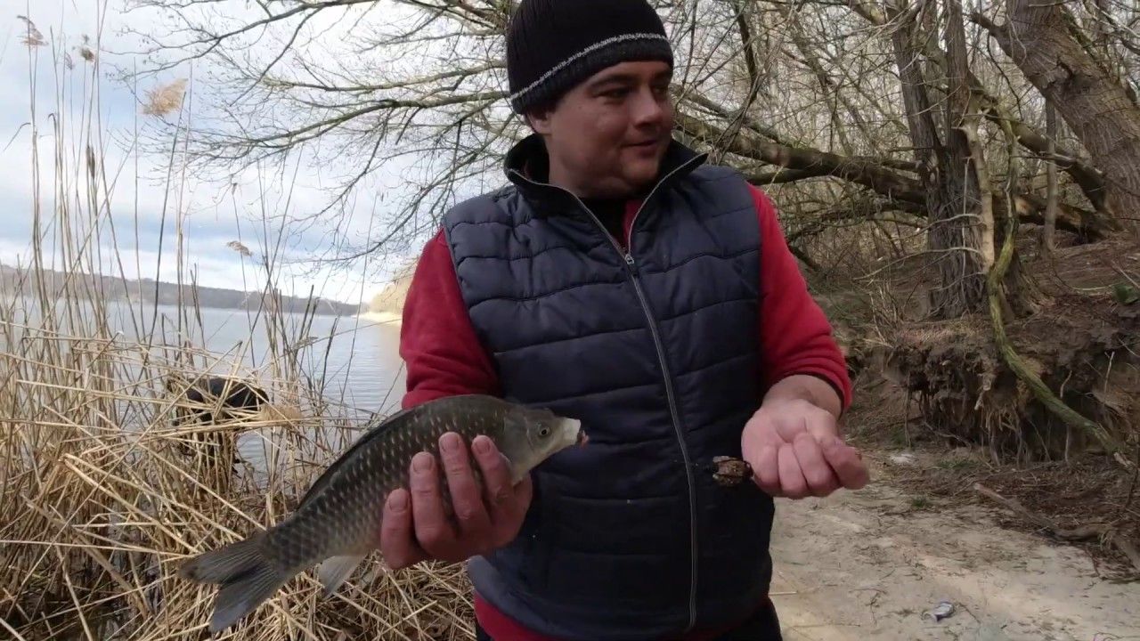 моя рыбалка ловля карася