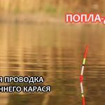Ловля карася на КРУЧЕНОГО и РВАНОГО червя весной на поплавочную удочку в апреле