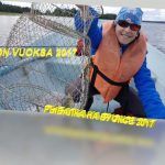 РЫБАЛКА НА ВУОКСЕ 2017 / FISHING VUOKSA 2017