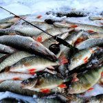 Рыбалка 2020 ИТОГИ Зимнего СЕЗОНА 2019-2020.