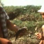 Село Гандурино . Астраханская область. 1979 г. Рыбалка. Камызякский район. Жизнь на 2 берегах.