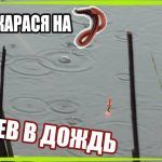 ЛОВЛЯ КАРАСЯ / ПОД БЕРЕГОМ / ДОЖДЬ / УЛОВ НА РЕКЕ #рыбалка #карась #клев #дождь #удочка #поплавок