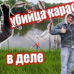 РЫБАЛКА / УБИЙЦА КАРАСЯ В ДЕЛЕ / КАРАСЬ В ШОКЕ #карась #убийцакарася #рыбалка2020 #ловлякарася #клев