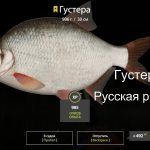 Русская рыбалка 4(рр4) — озеро Старый острог. Густера.