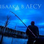РОМАНОВСКИЙ «РЫБАЛКА В ЛЕСУ»