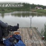 Рыбалка в Вашутино, Химки, Платник. Как погода влияет на поклевки карпа? Как клюет в дождь Рыба?