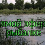 Я на рыбалке. Первый Выход.