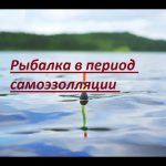 рыбалка в период самоизоляции