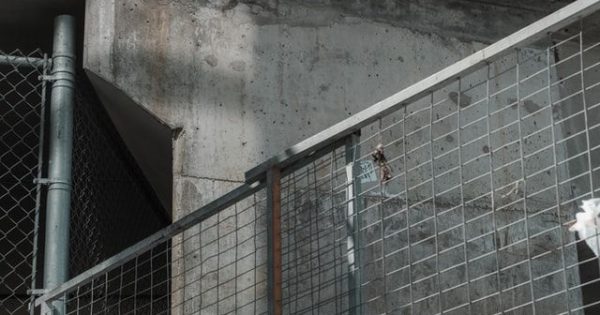 Лучшее железное ограждение
