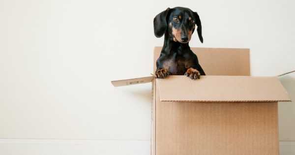 9 советов по квартирному переезду
