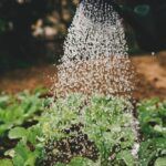 Умное поливание на даче: эффективные техники и системы для оптимального использования воды