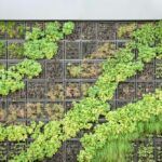 Идеи для дачного вертикального сада: использование вертикального пространства для выращивания растений