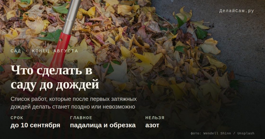 Что сделать в саду до дождей: список на конец августа