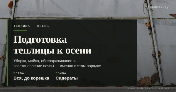 Подготовка теплицы к осени: мойка, дезинфекция, сидераты Подготовка теплицы к осени: мойка, дезинфекция, сидераты