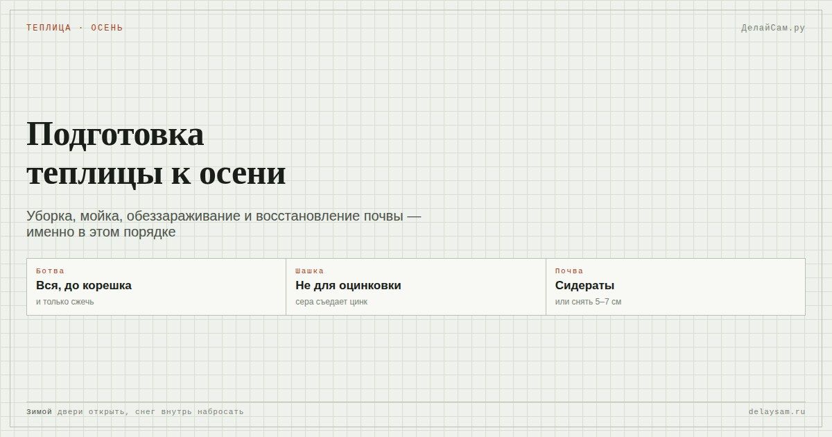 Подготовка теплицы к осени: мойка, дезинфекция, сидераты