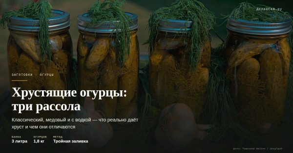 Хрустящие огурцы: разбор трёх рассолов Хрустящие огурцы: разбор трёх рассолов