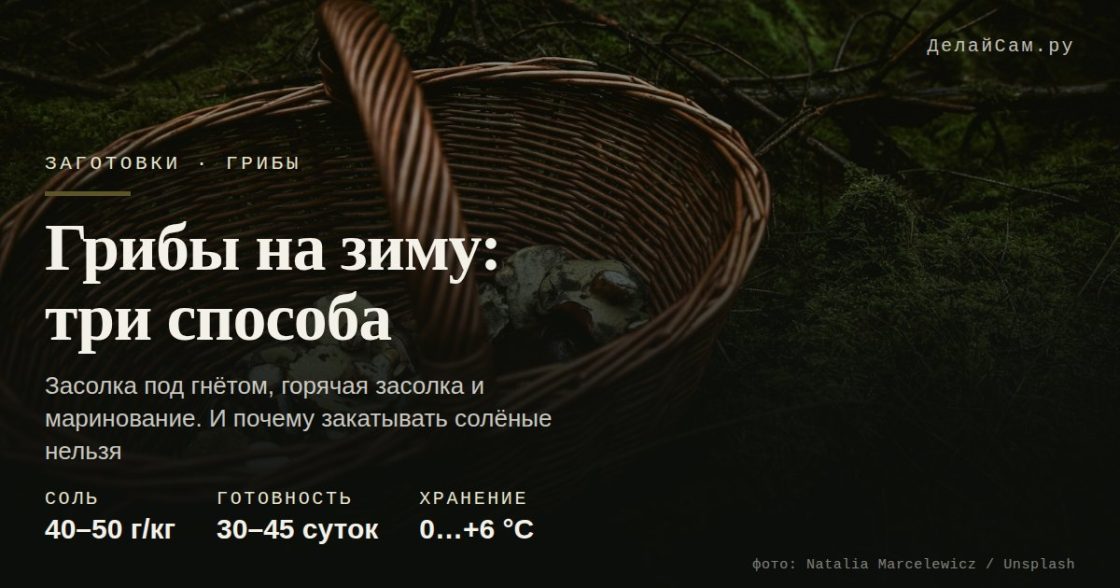 Грибы на зиму: соление, маринование, икра