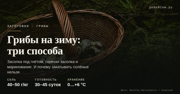 Грибы на зиму: соление, маринование, икра