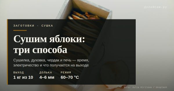 Сушим яблоки: духовка, сушилка, чердак — сравнение Сушим яблоки: духовка, сушилка, чердак — сравнение