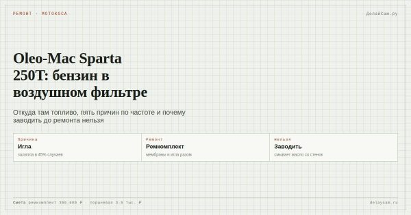 Oleo-Mac Sparta 250T: бензин в воздушном фильтре — причина и ремонт