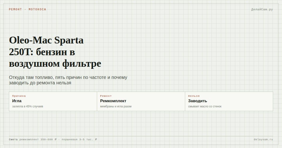 Oleo-Mac Sparta 250T: бензин в воздушном фильтре — причина и ремонт