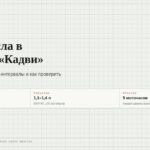 Замена масла в мотоблоке «Кадви»: сорт, объём, интервал