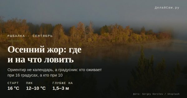 Осенний жор: где и на что ловить в сентябре