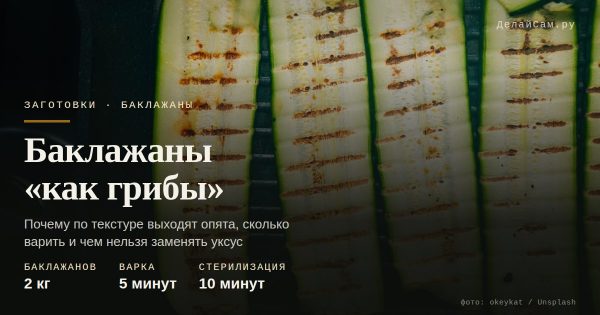 Баклажаны «как грибы»: почему выходят опята Баклажаны «как грибы»: почему выходят опята