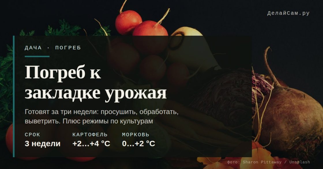 Погреб к сезону: сушка, дезинфекция, вентиляция