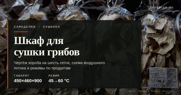 Шкаф для сушки грибов своими руками: чертёж, режимы, вентиляция Шкаф для сушки грибов своими руками: чертёж, режимы, вентиляция